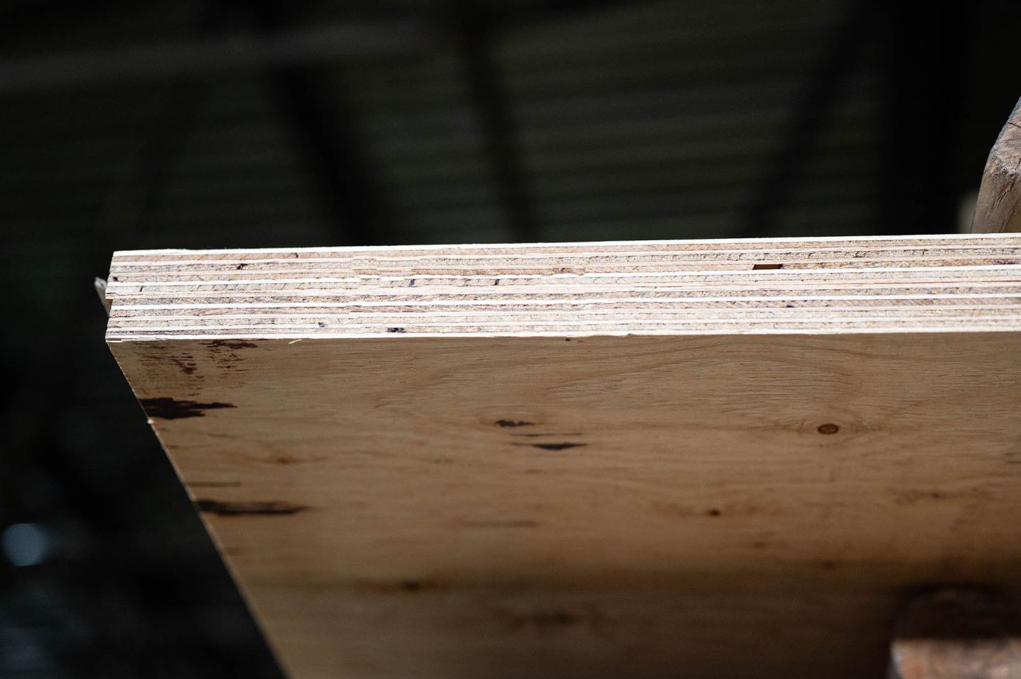 Фанера ФСФ 24 мм 2440х1220 мм сорт 2/3 шлифованная хвойная влагостойкая Larch Лиственница